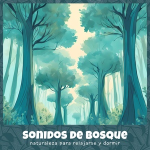 Обложка для New Age Naturists - Sonido del Bosque