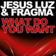 Обложка для Jesus Luz, Fragma - What Do You Want