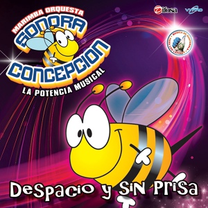 Обложка для Marimba Orquesta Sonora Concepción - El Coco