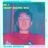 Обложка для Glass Animals - Quarantine Covers. Episode 1. (Nirvana - Heart Shaped Box Cover)