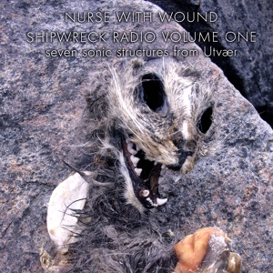 Обложка для Nurse With Wound - June 5