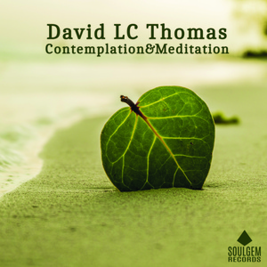 Обложка для David LC Thomas - Buddhist tradition