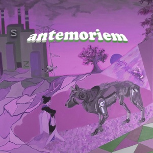 Обложка для antemoriem - Minuty