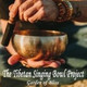 Обложка для The Tibetan Singing Bowls Project - Zen Gardens Deep Serenity