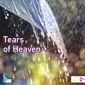 Обложка для Ali Salman - Tears of Heaven - Track 03