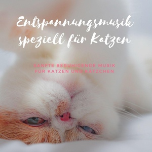 Обложка для Entspannung Tribe - Entspannungsmusik speziell für Katzen