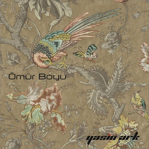 Обложка для Yasin Ark - Omur Boyu (BRB)
