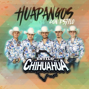 Обложка для Estilo Chihuahua - Don (La Guitarra De Lolo)
