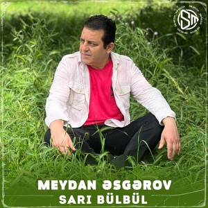 Обложка для Meydan Esgerov - Sarı bülbül