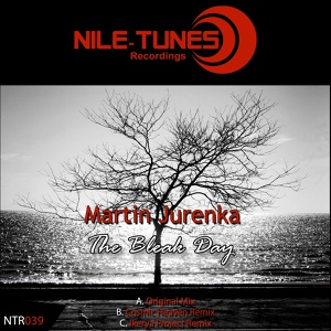 Обложка для Martin Jurenka - The Bleak Day (Ikerya Project Remix)