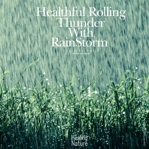 Обложка для Nature Sound Band - Rain for Concentration