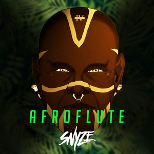 Обложка для DJ SnyZe - Afroflute