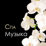 Обложка для Спа Музыка Мастер - Фоновая Музыка