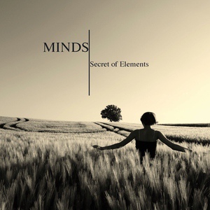 Обложка для Secret of Elements - Too Late to Cry -Over-