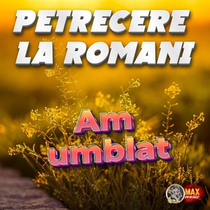 Обложка для Petrecere la Romani - Fa ce vrei cu mine