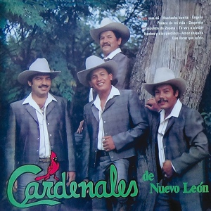 Обложка для Cardenales De Nuevo León - Amor Chiquito