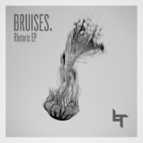 Обложка для Bruises - Worries