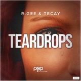 Обложка для DJ R.Gee, TeCay - Teardrops