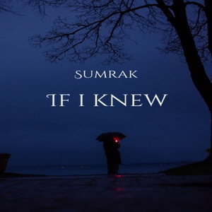 Обложка для Sumrak - If i knew