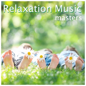 Обложка для Soundscapes Relaxation Music Academy - Total Healing