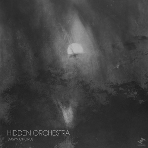 Обложка для Hidden Orchestra - Wingbeats