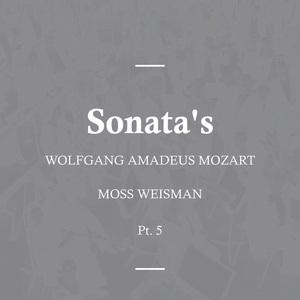 Обложка для Moss Weisman - Sonata in E Minor, K304 - 300c - I. Allegro