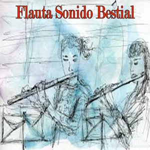 Обложка для Incas Star Band - La Solitudine