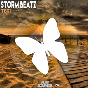 Обложка для Storm Beatz - Teri