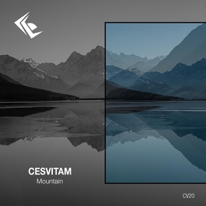 Обложка для Cesvitam - Mountain