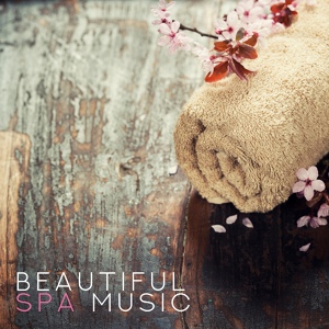 Обложка для Spa Music Paradise, Wellness Spa Music Oasis, Odyssey for Relax Music Universe - Pure Relaxation