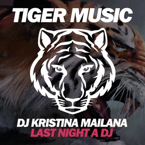 Обложка для DJ Kristina Mailana - Last Night a DJ