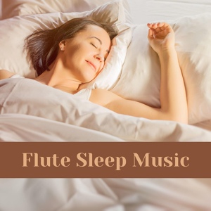 Обложка для Native American Flute - Rage and Serenity (Deep Sleep)