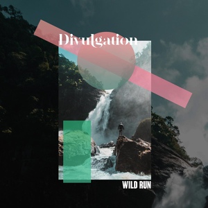 Обложка для Divulgation - Wild Run