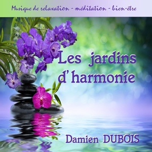 Обложка для Damien Dubois - Natural Spirit
