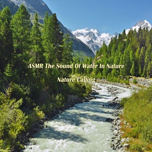 Обложка для 네이쳐콜링 Nature Calling - ASMR 자연의 물소리 ASMR The Sound Of Water In Nature