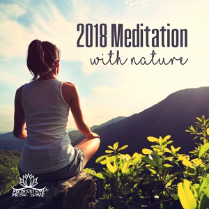 Обложка для Meditation Music Zone - Total Relax