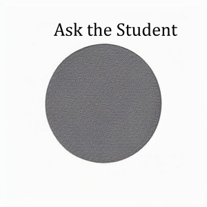 Обложка для Pipikslav - Ask the Student