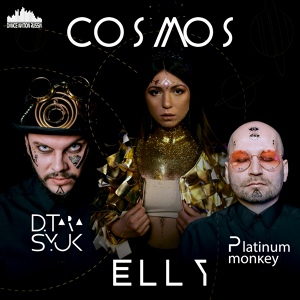 Обложка для Elly Wild, D.Tarasyuk, Platinum Monkey - Cosmos (Radio Mix)