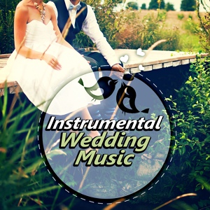 Обложка для Instrumental Wedding Music Zone - Instrumental Wedding Music