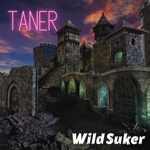 Обложка для Taner - Wild Suker