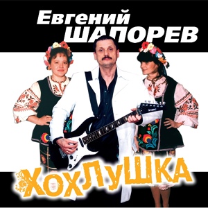 Обложка для Евгений Шапорев - Подводя итоги