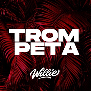 Обложка для DJ WILLIE - Trompeta