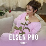 Обложка для Elsen Pro - Snake