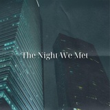 Обложка для lord huron, phoebe bridgers - the night we met (sped up)