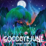 Обложка для Goodbye June - Liberty Mother