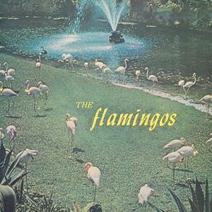 Обложка для The Flamingos - Nobody's Love