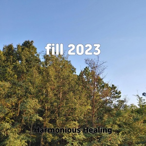 Обложка для Harmonious Healing - find mix