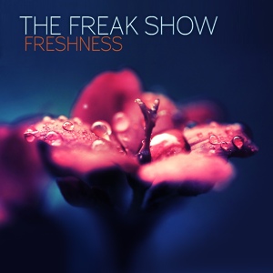 Обложка для The Freak Show - Hard Times