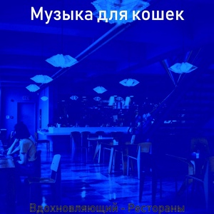 Обложка для Музыка для кошек - Атмосфера (Офисы)