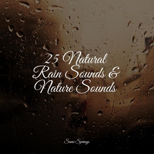 Обложка для Gentle Rain Makers, Sonido Del Bosque y Naturaleza, nature & Sounds Background - Large Waves Crashing